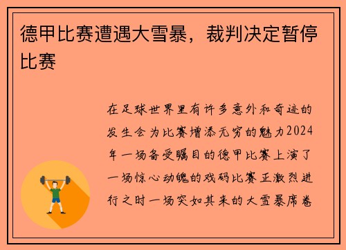 德甲比赛遭遇大雪暴，裁判决定暂停比赛